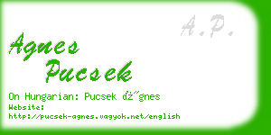 agnes pucsek business card